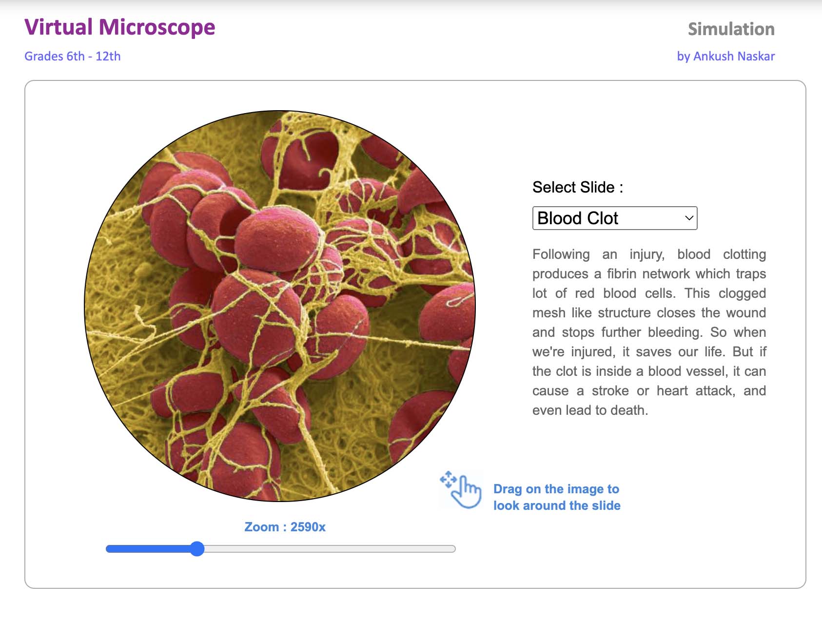 This image shows a "Virtual Microscope" simulation for grades 6-12, also developed by Ankush Naskar. The simulation displays a magnified view of a "Blood Clot" under the microscope. The user can drag on the image to explore different areas of the slide.