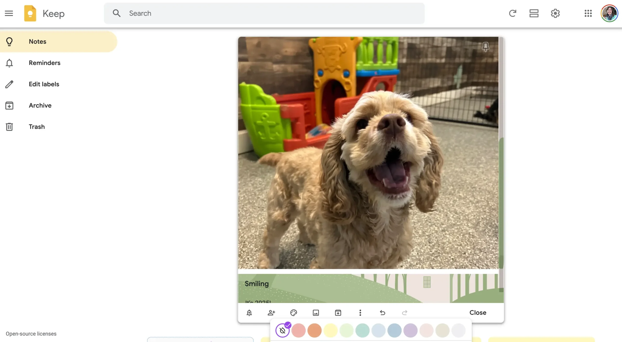 Screenshot of Google Keep showing a note with an image of a happy tan-colored dog in a play area, with colorful play equipment in the background. The note is titled âSmiling,â and the background theme of the note is green with a pattern of trees.