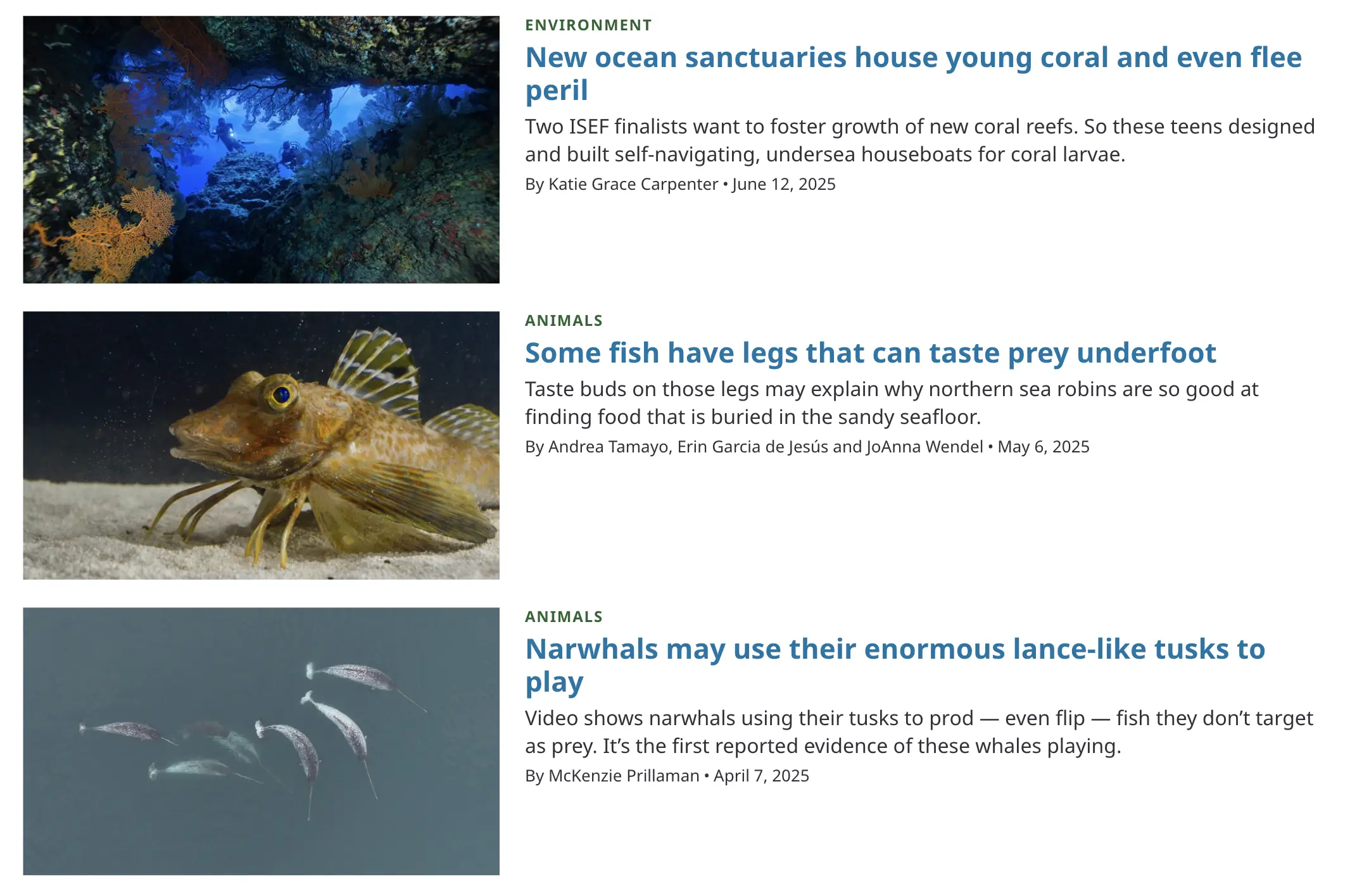 Science News Explores “Scientists Say” article about the term “Artifact,” featuring an explanation of how artifacts are made or modified by humans and methods like radiocarbon dating for age determination.