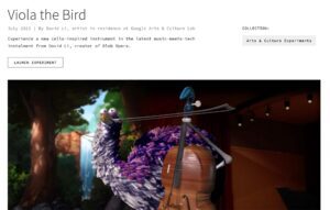 Information on Viola the Bird