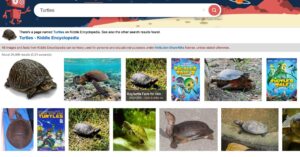Kiddle search results for turtles.