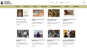 National Wildlife Federation webpage displaying various article thumbnails, including topics such as environmental DNA, sandhill crane habitat conservation, and monarch butterfly migration. The page highlights several articles with titles and ‘Read More’ links beneath each image.