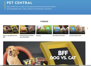 Screenshot of the Pet Central page on National Geographic Kids, featuring a header about pets, a row of pet-themed video thumbnails, and a large preview for “BFF: Dog vs. Cat.”