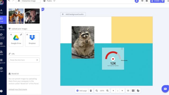 Genially screenshot with a photo of a raccoon being designed into a poster