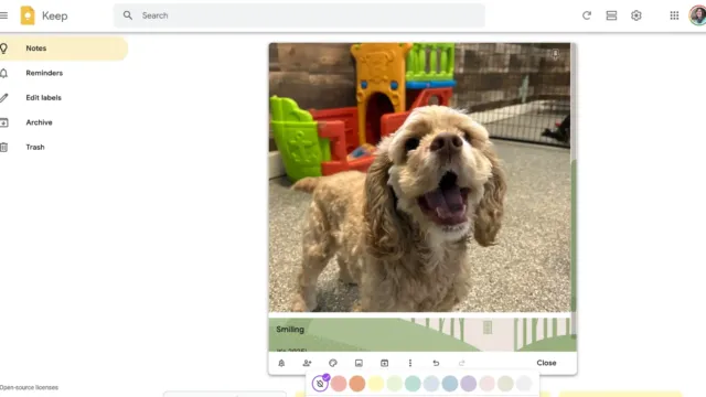 Screenshot of Google Keep showing a note with an image of a happy tan-colored dog in a play area, with colorful play equipment in the background. The note is titled “Smiling,” and the background theme of the note is green with a pattern of trees.