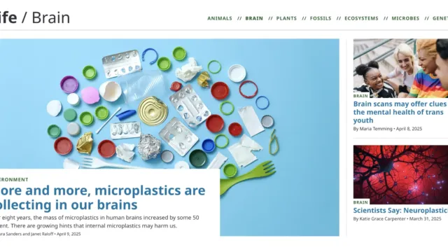 Screenshot from Science News Explores "Life/Brain" section highlighting various science articles, including "More and more, microplastics are collecting in our brains," illustrated by a photo of assorted plastic items and debris against a bright blue background.