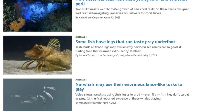Science News Explores “Scientists Say” article about the term “Artifact,” featuring an explanation of how artifacts are made or modified by humans and methods like radiocarbon dating for age determination.